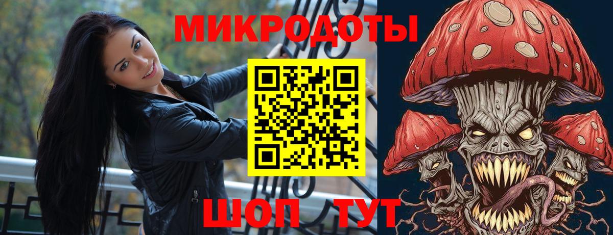 Галлюциногенные грибы Cubensis Майкоп