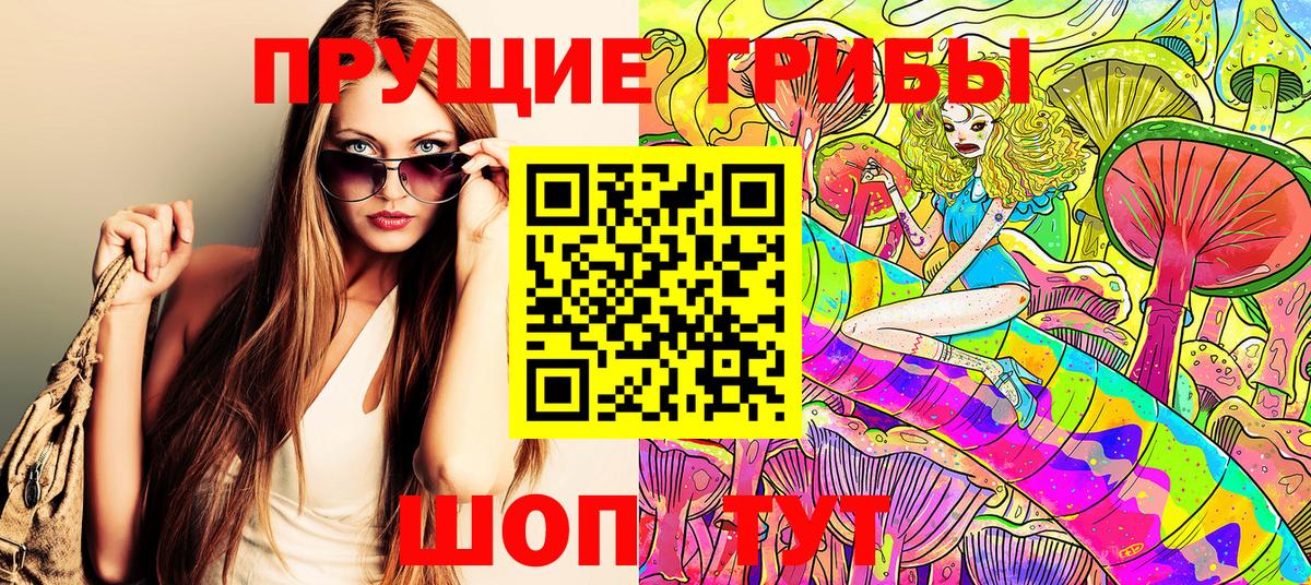 Майкоп  Галлюциногенные грибы GOLDEN TEACHER  Вход с VPN 